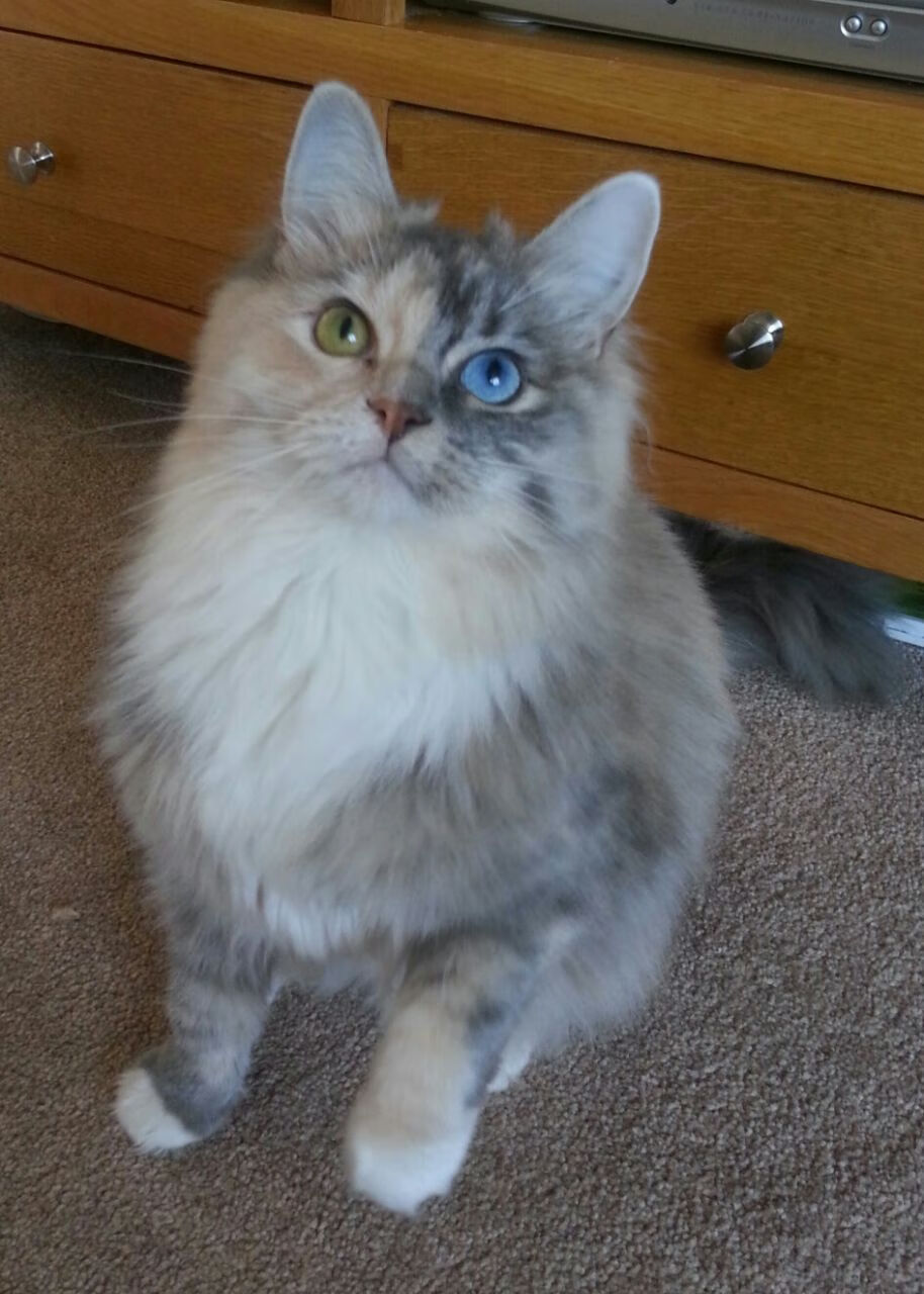 开云·体育官网APP下载-_赛事亮点：新技术助阵比赛流畅高清_，新技术吧