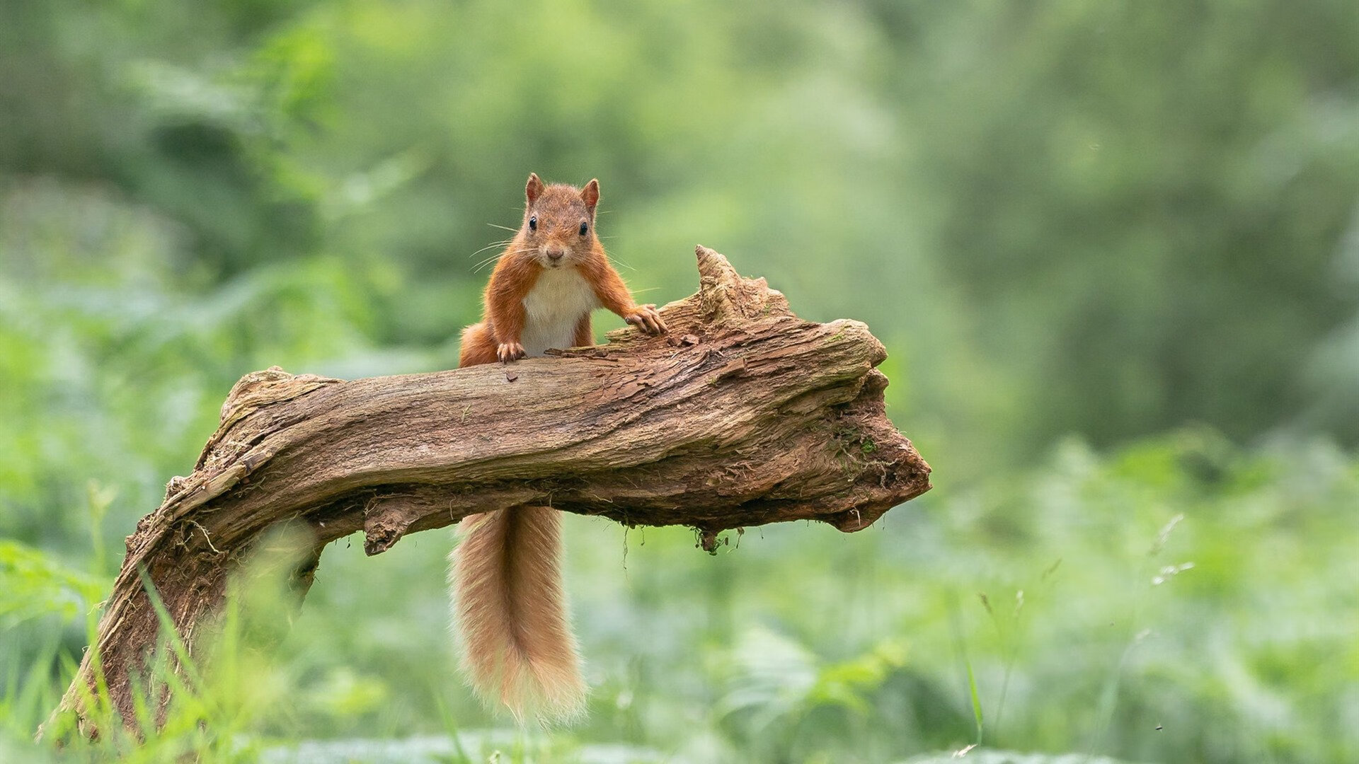 开云官网-_赛事总结：本年度最值得回忆的精彩比赛_，相当精彩的比赛