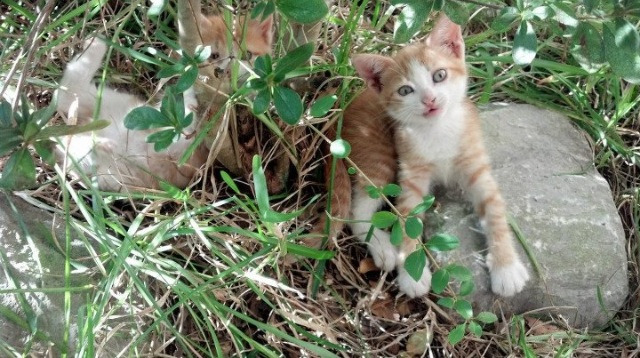 详细阅读:开云·体育官网APP下载-拜仁慕尼黑中场大师引领全队,拜仁慕尼黑站位 开云·体育官网APP下载-拜仁慕尼黑中场大师引领全队,拜仁慕尼黑站位